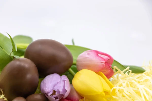 Metin Kutusu Çikolata Yumurta Paskalya Için Pastel Lale Ile Grafik — Stok fotoğraf