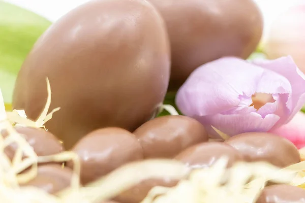 Close Ovos Chocolate Uma Tulipa Lavanda Para Páscoa Recurso Gráfico — Fotografia de Stock