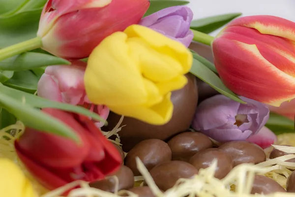 Closeup Colorful Tulips Chocolate Eggs Easter — Stock Photo, Image