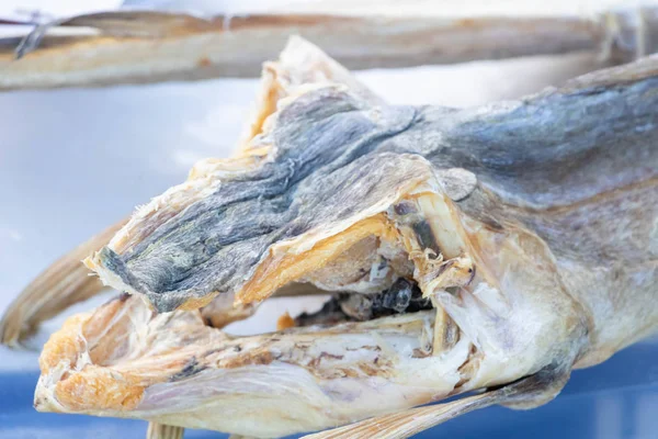 Close-up of a dried cod head, specialty of Italian cuisine