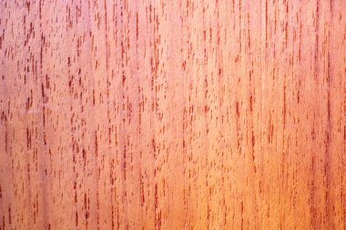 Orta meşe vernikli deniz marangozluk kurulu kaburga yakın çekim