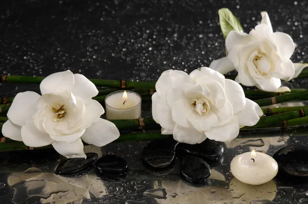 Три Квітки Гарденії Дві Свічки Мокрому Фоні Гальки — стокове фото
