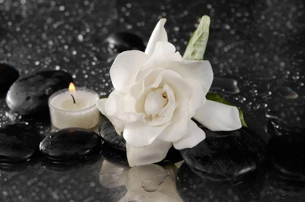 Spa Concept Gardenia Flower Mit Kerze — Stockfoto