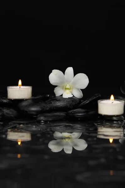 Orchidée Blanche Avec Deux Pierres Bougie Thérapie — Photo