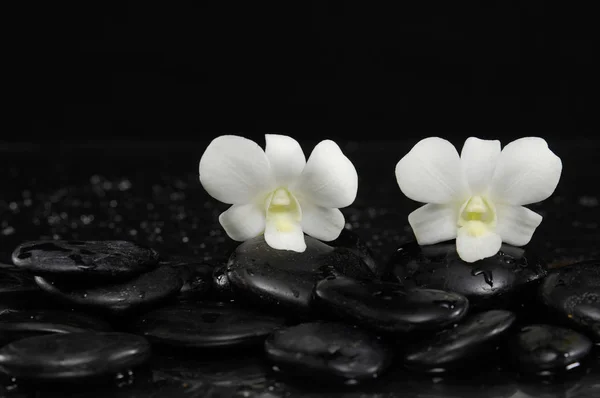 Spa Todavía Con Dos Orquídeas Vela Sobre Guijarros —  Fotos de Stock