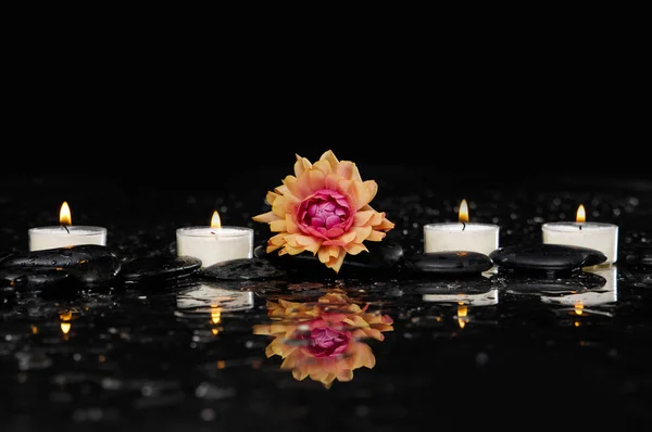 黒い石とラナンキュラスの花 キャンドルのある静物 — ストック写真