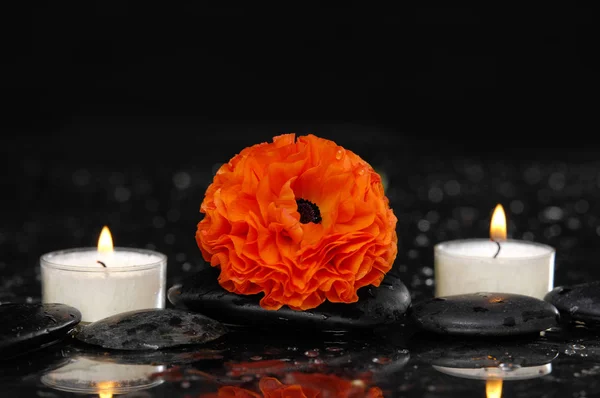Red Ranunculus Flower White Candle Therapy Stones — Stock Photo, Image