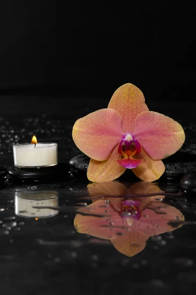 Orhidee Lumânare Albă Pietre Terapie — Fotografie, imagine de stoc