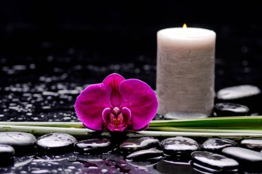 Aromaterapi ve spa konsept vurdu