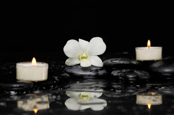 Orquídea Blanca Con Dos Velas Blancas Reflexión Piedras Terapia —  Fotos de Stock