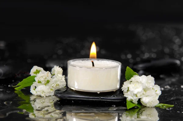 Zweig Weiße Blume Mit Blatt Kerze Auf Nassem Hintergrund — Stockfoto