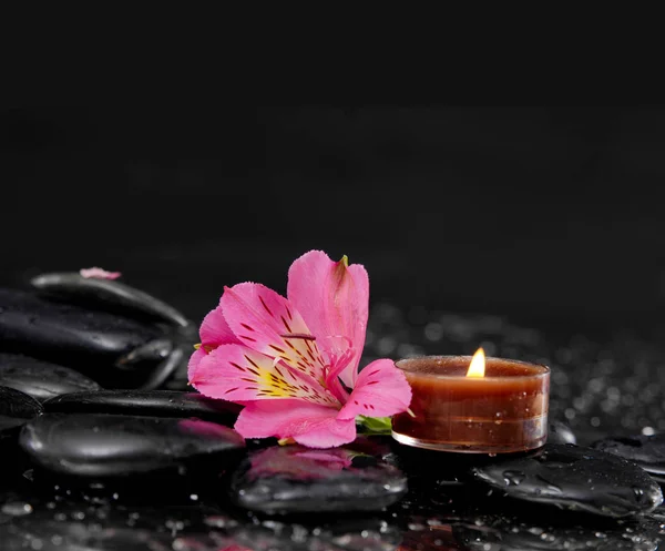 Macro Pink Orchid Candle Therapy Stones — Stock Photo, Image