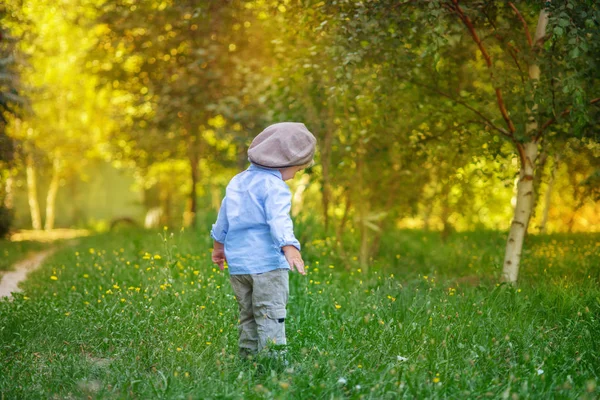 Ragazzino Con Capelli Biondi Berretto Camicia Blu Estate Campo Con — Foto Stock