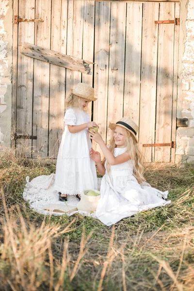 드레스와 모자에 웃음과 여름에 시골에서 — 스톡 사진