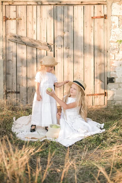 Mooie Blonde Meisje Zusters Witte Jurken Stro Hoeden Lachen Appels — Stockfoto