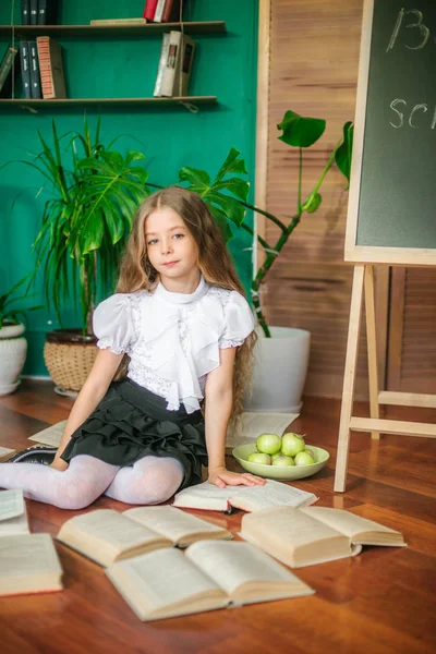 Sweet Schoolgirl Junior Classes Long Blond Hair Books School Board — Stock Photo, Image