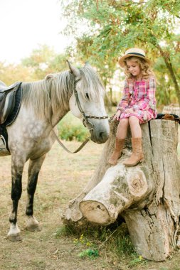 Vintage ekose elbise ve hasır şapka ve gri bir atı hafif kıvırcık saçlı tatlı bir küçük kız. Kırsal yaşam Güz. Atlar ve insanlar
