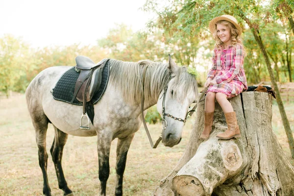 一个漂亮的小女孩 在老式的格子礼服和草帽和灰色的马 卷发卷曲的头发 农村生活在秋季 马和人 — 图库照片