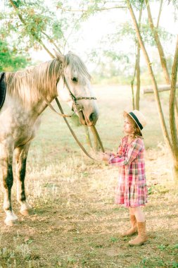 Vintage ekose elbise ve hasır şapka ve gri bir atı hafif kıvırcık saçlı tatlı bir küçük kız. Kırsal yaşam Güz. Atlar ve insanlar