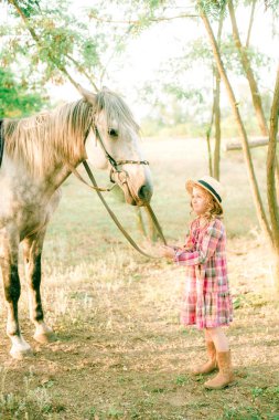 Vintage ekose elbise ve hasır şapka ve gri bir atı hafif kıvırcık saçlı tatlı bir küçük kız. Kırsal yaşam Güz. Atlar ve insanlar
