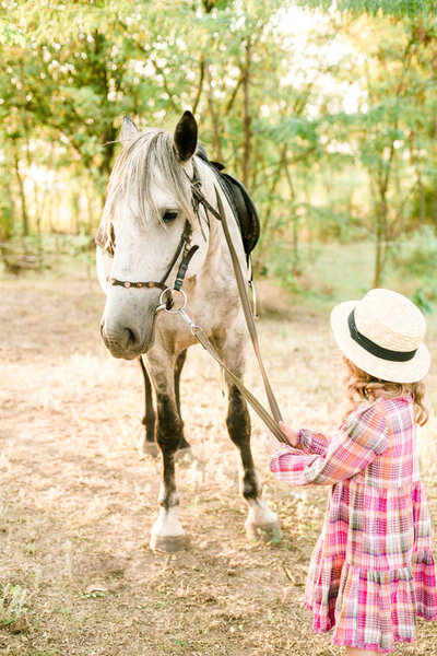 A nice little girl with light curly hair in a vintage plaid dress and a straw hat and a gray horse. Rural life in autumn. Horses and people