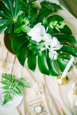Düğün süslemeleri bir tropikal tarzı unsurları. Kadının küçük özel odası süslemeleri tropikal yaprakları ve beyaz orkide, gül, dışkı ve mumlar