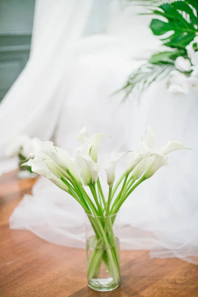 Elements Wedding Decorations Tropical Style Boudoir Decorations Tropical Leaves White — Stock Photo, Image