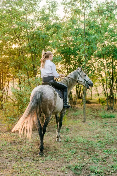 Bella Ragazza Con Capelli Chiari Competizione Uniforme Sorridente Cavallo Tramonto — Foto Stock