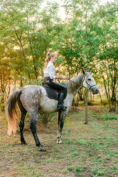 美丽的年轻女孩与光的头发在一致的竞争中微笑着 骑着马在秋季日落 — 图库照片