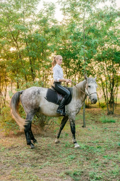 Bella Ragazza Con Capelli Chiari Competizione Uniforme Sorridente Cavallo Tramonto — Foto Stock