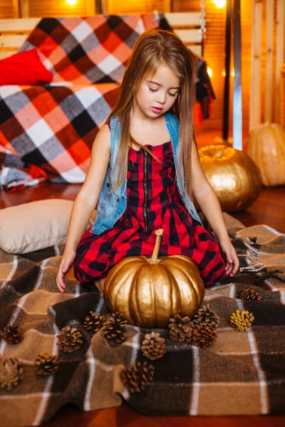 小可爱的女孩与长卷曲的头发附近的秋千和南瓜在一个红色的格子连衣裙和毯子 — 图库照片