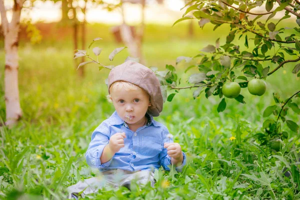 リンゴ園で秋に金髪のかわいい男の子 — ストック写真
