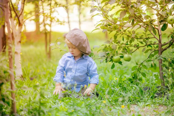 Schattige Kleine Jongen Met Blond Haar Herfst Tuin Van Een — Stockfoto