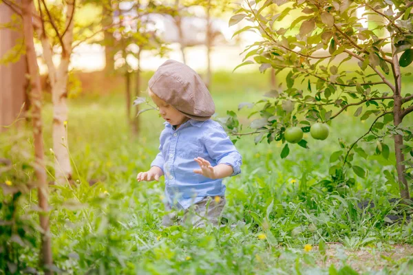 Ragazzino Carino Con Capelli Biondi Autunno Giardino Mele — Foto Stock