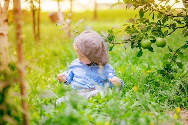 Schattige Kleine Jongen Met Blond Haar Herfst Tuin Van Een — Stockfoto