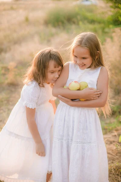 Irmãzinhas Bonitos Vestidos Brancos Rir Com Maçãs Peras Campo Dia — Fotografia de Stock