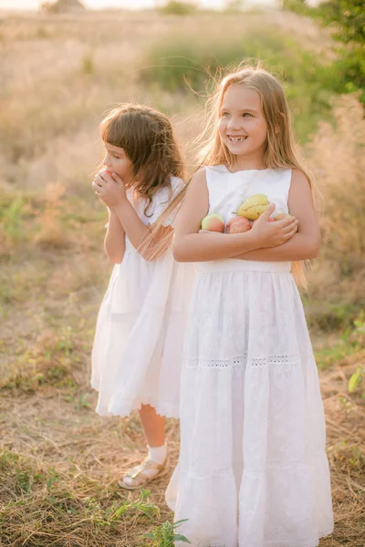 Irmãzinhas Bonitos Vestidos Brancos Rir Com Maçãs Peras Campo Dia — Fotografia de Stock