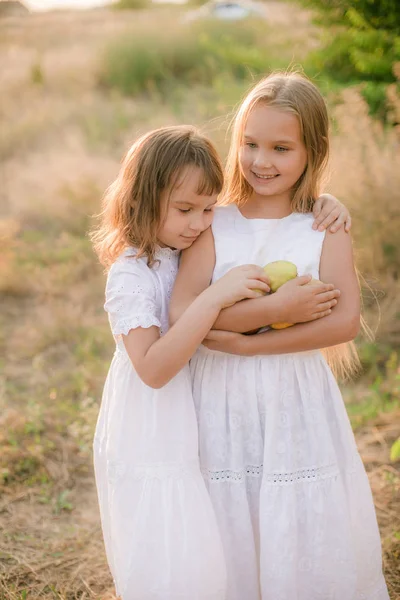 Irmãzinhas Bonitos Vestidos Brancos Rir Com Maçãs Peras Campo Dia — Fotografia de Stock