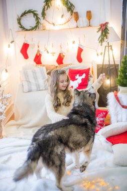 Sevimli kız evde bir köpek evde Malamute Noel için dekore edilmiş bir odada eğleniyor