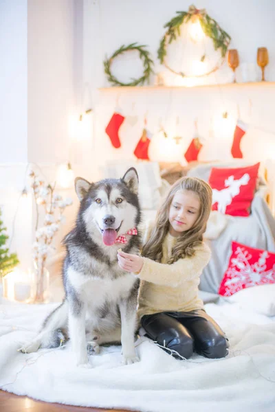 Linda Chica Divirtiéndose Casa Con Perro Malamute Casa Una Habitación — Foto de Stock