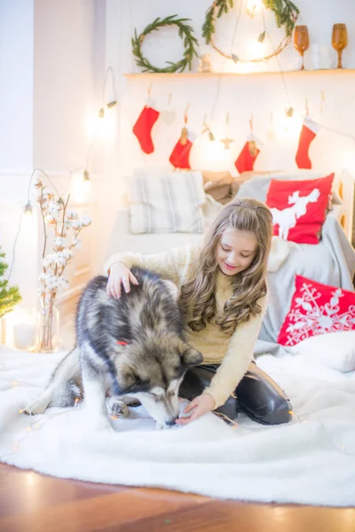 Linda Chica Divirtiéndose Casa Con Perro Malamute Casa Una Habitación — Foto de Stock