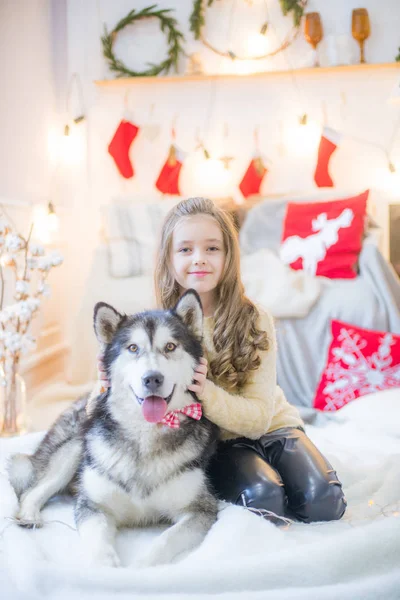 Linda Chica Divirtiéndose Casa Con Perro Malamute Casa Una Habitación — Foto de Stock