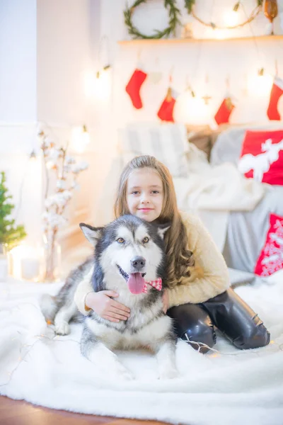 Linda Chica Divirtiéndose Casa Con Perro Malamute Casa Una Habitación — Foto de Stock