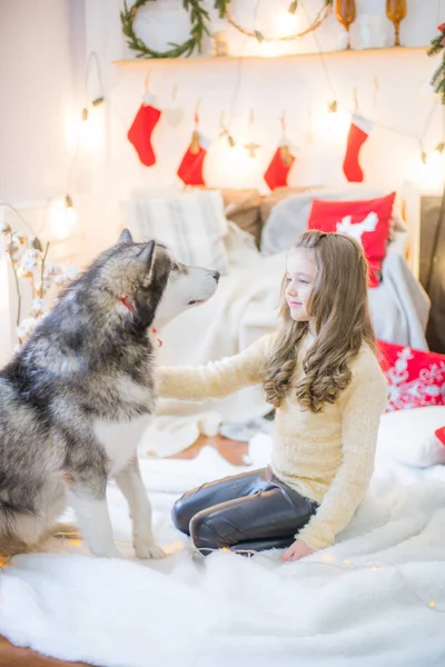 Linda Chica Divirtiéndose Casa Con Perro Malamute Casa Una Habitación — Foto de Stock