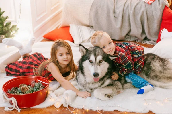 Little Cute Baby Blond Hair His Older Sister Having Fun — Stock Photo, Image