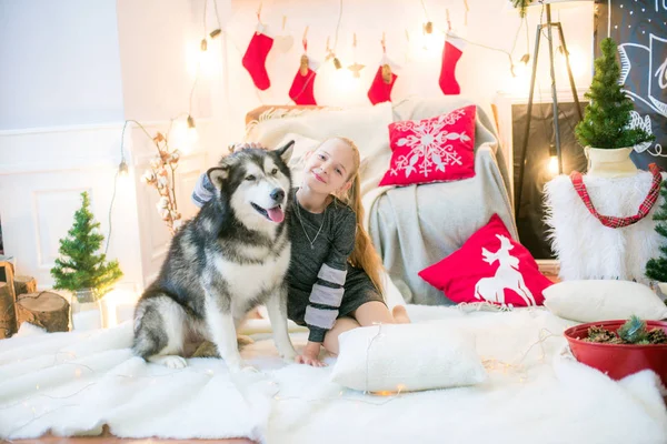 Aranyos Lány Szőke Haj Szórakozás Otthon Egy Kutya Malamute Otthon — Stock Fotó