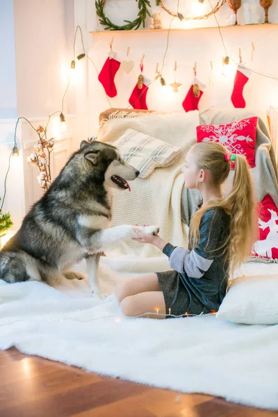 Roztomilá Dívka Plavými Vlasy Baví Doma Psem Malamut Doma Zařízené — Stock fotografie