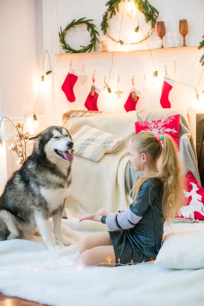 Linda Chica Con Cabello Rubio Divirtiéndose Casa Con Perro Malamute — Foto de Stock