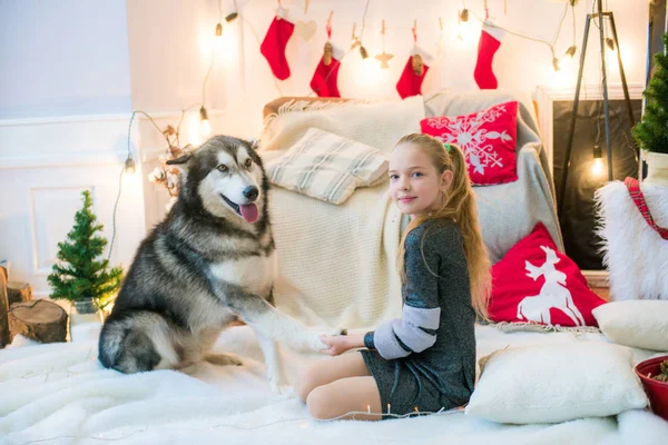 Aranyos Lány Szőke Haj Szórakozás Otthon Egy Kutya Malamute Otthon — Stock Fotó