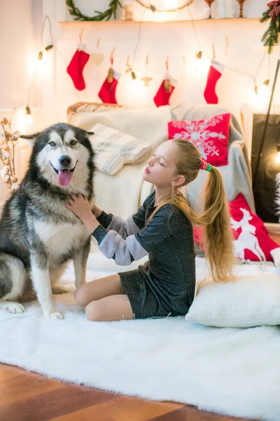 クリスマスの装飾が施された部屋で自宅のマラミュート犬と一緒に自宅で楽しみを持つ金髪のかわいい女の子 — ストック写真